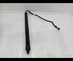 PISTONCINI AMORTIZATORE PORTELLONE POST SX LR DISC - 12