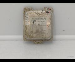 CENTRALINA FARI LUCI XENON MERCEDES E250 A207 2012