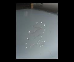 PORTA PORTIERA ANTERIORE SINISTRA BMW F10 2009-201 - 14