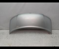 COFANO ANTERIORE VOLKSWAGEN TRANSPORTER T5 2005 2A