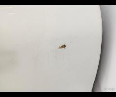 PORTA PORTIERA POSTERIORE DX JAGUAR XF X260 2015-2 - 13