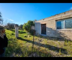 Fabbricato con terreno - 2