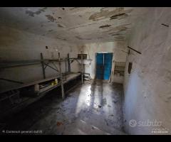 Fabbricato con terreno - 12