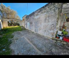 Fabbricato con terreno - 15