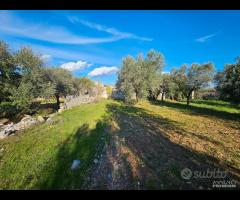 Fabbricato con terreno - 17