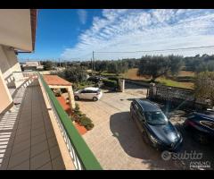 Grottaglie - villa indipendente - 6