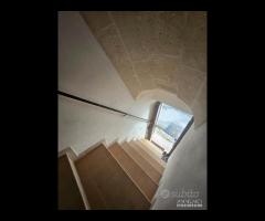 Via Cairoli , Terracielo con Tavernetta - 13