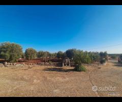 Grottaglie- villino con terreno