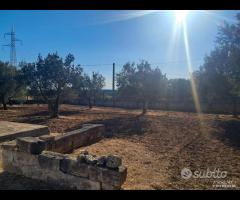 Grottaglie- villino con terreno - 10