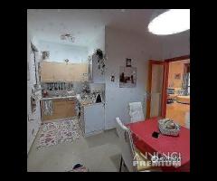 Quadrivani a Francavilla Fontana (BR) - 8