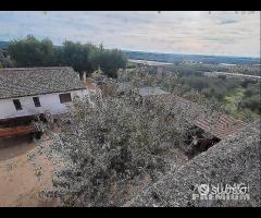 Masseria genzano - 8