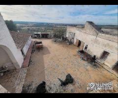 Masseria genzano - 15