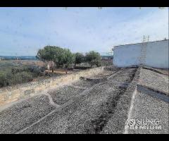 Masseria genzano - 24