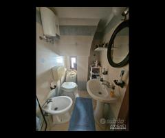 Via Cairoli , Terracielo con Tavernetta - 6