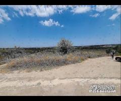Grottaglie- terreno su via per Montemesola