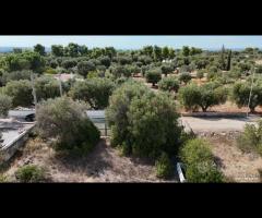 TERRENO in via Dei Garofani a Grottaglie - 12