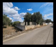 TERRENO in via Dei Garofani a Grottaglie - 19