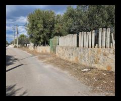 TERRENO in via Dei Garofani a Grottaglie - 20