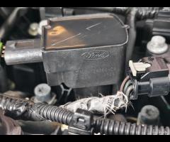 MOTORE COMPLETO M1DA 1.0B 92Kw 125CV FORD C-MAX II - 11