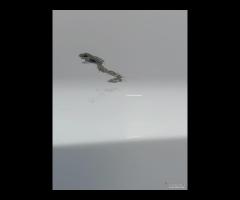 PORTA PORTIERA POSTERIORE SX SEAT IBIZA 2008-2012 - 12