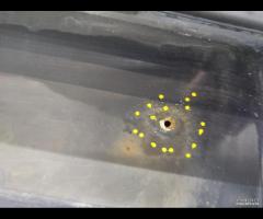 BAULE PORTELLONE POSTERIORE NISSAN PATHFINDER K010 - 7