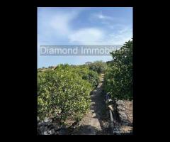 Limoneto con rustico a Pozzillo - Acireale