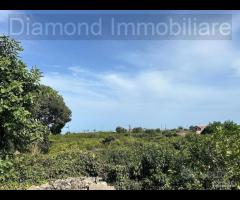 Limoneto con rustico a Pozzillo - Acireale