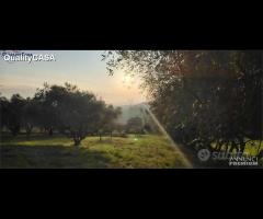 RUSTICO da RISTRUTTURARE a Camerata Picena - 14