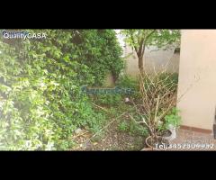 Appartamento investimento a chiaravalle - 6