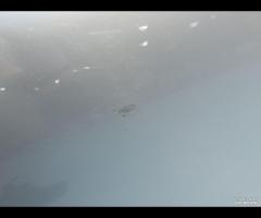 PORTA PORTIERA ANTERIORE DESTRA BMW F20 2014 BERLI - 14