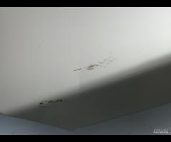 PORTELLONE COFANO POSTERIORE BMW SEIRE 5 E60 2003- - 6