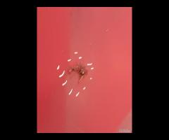 PARAURTI POSTERIORE OPEL INSIGNIA A FACELIFT BERLI - 7