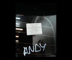 PORTELLONE POSTERIORE BMW 320D E91 LCI TOURING 201 - 10