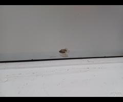 PORTA PORTIERA ANTERIORE DESTRA MERCEDES CLK 2005 - 7