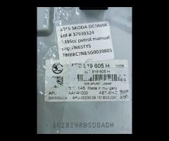 DISPLAY MULTIFUNZIONE COMPUTER DI BORDO SKODA OCTA - 19