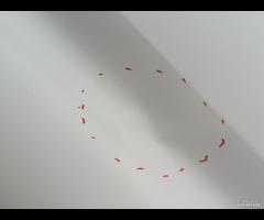 PORTA PORTIERA SCORREVOLE  SX FORD TRANSIT 2018 18 - 19