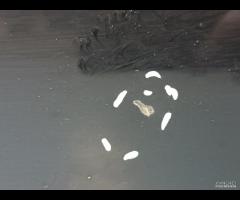 PORTA PORTIERA ANTERIORE SX PORSCHE CAYENNE I 955 - 10