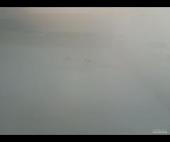 PORTA PORTIERA ANTERIORE DESTRA DX MAZDA 3 SE-L II - 12