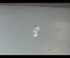 PORTA POSTERIORE SINISTRA SX SEAT LEON III 2012-20 - 15