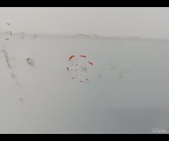 PORTA PORTIERA POSTERIORE SINISTRA JAGUAR XE 2015- - 14