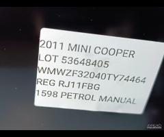 PORTA PORTIERA POSTERIORE DESTRA MINI Clubman R55 - 7