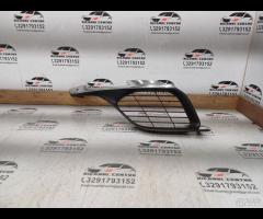 GRIGLIA PARAURTI ANTERIORE DX/MODANATURA CROMO 201