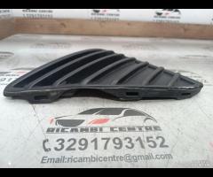 GRIGLIA CORNICE PARAURTI ANTERIORE INFERIORE SX FO - 9