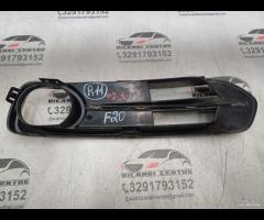 GRIGLIA FENDINEBBIA PARAURTI ANTERIORE DESTRA DX B - 14