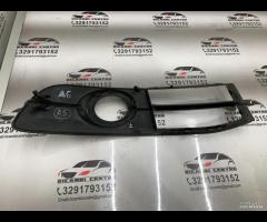 MASCHERINA FENDINEBBIA PARAURTI ANTERIORE SINISTRA - 14