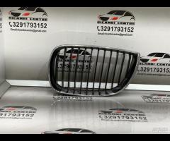 GRIGLIA PARAURTI ANTERIORE GRIGLIA RADIATORE SINIS