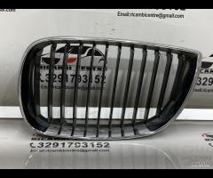 GRIGLIA PARAURTI ANTERIORE GRIGLIA RADIATORE SINIS