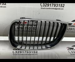 GRIGLIA PARAURTI ANTERIORE GRIGLIA RADIATORE SINIS