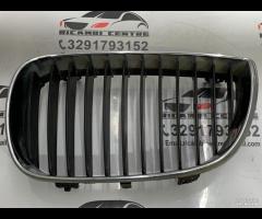 GRIGLIA PARAURTI ANTERIORE GRIGLIA RADIATORE SINIS