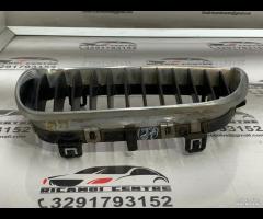 GRIGLIA PARAURTI ANTERIORE GRIGLIA RADIATORE SINIS